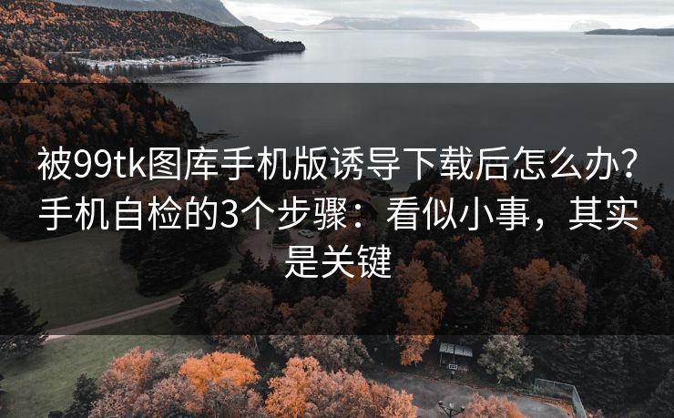 被99tk图库手机版诱导下载后怎么办？手机自检的3个步骤：看似小事，其实是关键