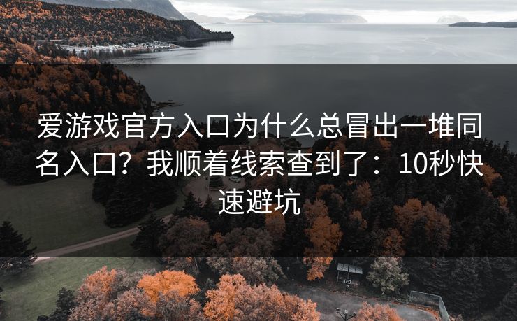 爱游戏官方入口为什么总冒出一堆同名入口？我顺着线索查到了：10秒快速避坑