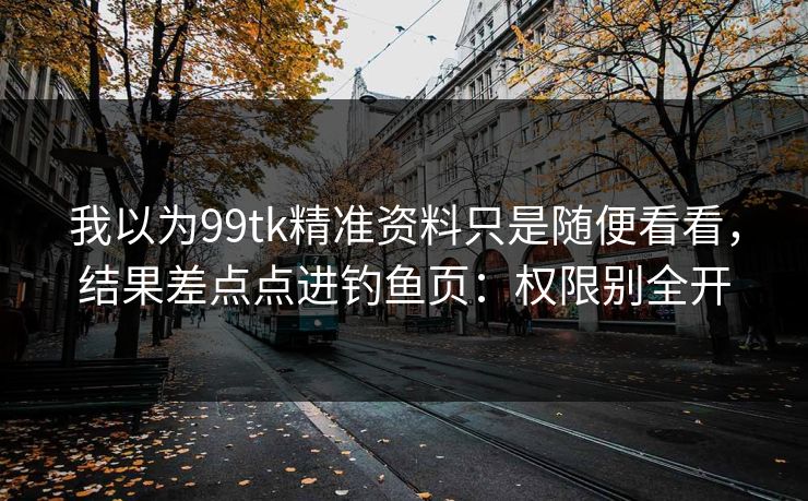 我以为99tk精准资料只是随便看看，结果差点点进钓鱼页：权限别全开